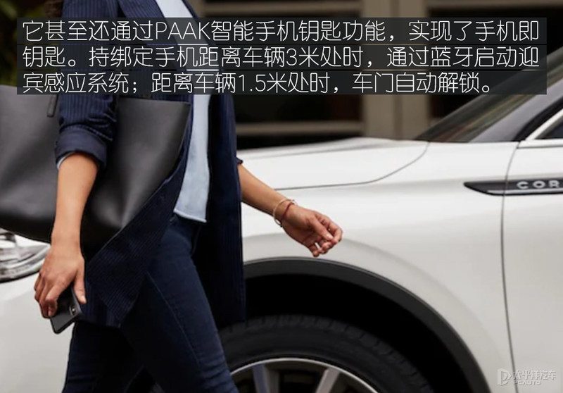 仪表故障灯、胎压报警或电瓶检测仪读数近景图