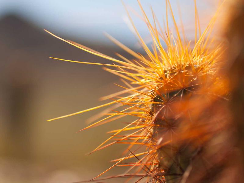 南京油价