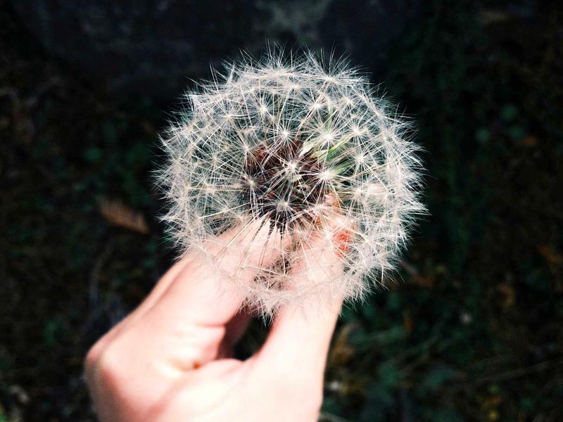 宝马6系多少钱 宝马6系多少钱